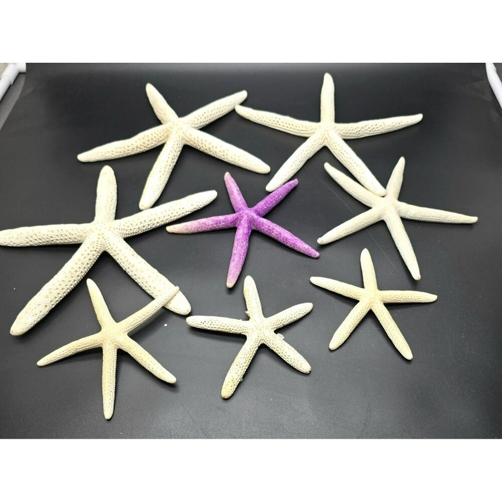 Natural Decorative Starfish Set Of 8 Cream and Purple Ocean Accents DH1334